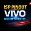 ISP Pinout Vivo